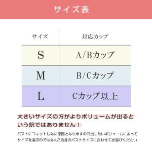ブラパッド 低反発パッド ブラジャーパッド ブ...の詳細画像4