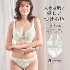 大きいサイズ ブラジャー ショーツ セット 脇高 ブラジャー&ショーツ FGHカップ 下着 レディース 脇肉 背肉 ブラセット 谷間 ブラショーツ 上げ 爆買