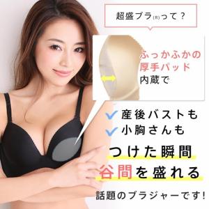 ブラジャー 単品 クロスレース レオパード 超...の詳細画像1