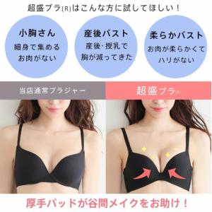ブラジャー 単品 クロスレース レオパード 超...の詳細画像2