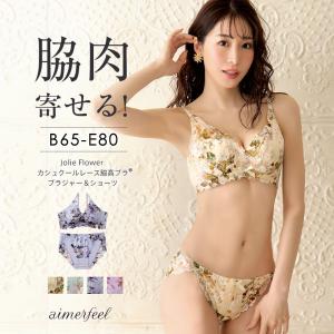 脇高 ブラジャー 脇高ブラ ショーツセット ブラセット 脇肉 レース下着セット ブラショーツ 寄せ上げブラ ショーツ 下着女性 エメフィール