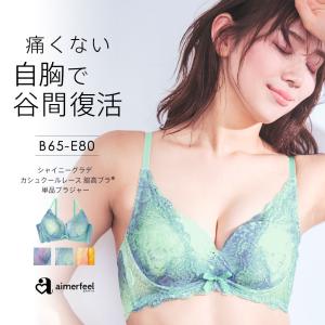 ブラジャー 単品/ シャイニーグラデ カシュクールレース 脇高ブラ 単品ブラジャー /女性 下着 レディース