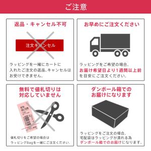 プレゼント ギフト ラッピング 袋 ショッパー...の詳細画像2