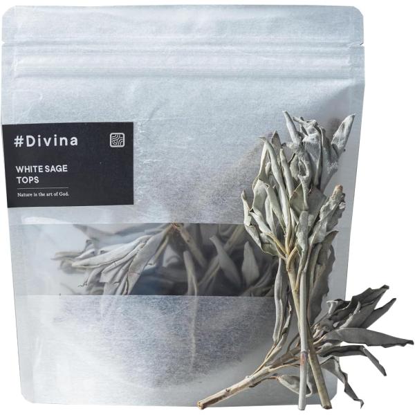 ホワイトセージ  リーフと枝 30g 浄化 枝付き ＃Divina 父の日　アロマ セイジ　100円...