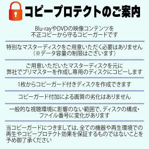 DVD+R(DL)コピー同時購入専用 コピープ...の詳細画像3