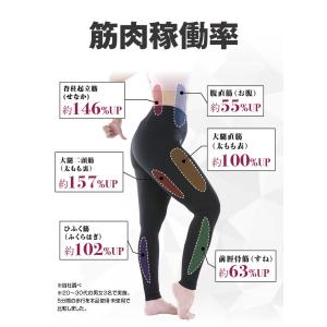ダイエットインソール 中敷 体幹筋エクササイズ...の詳細画像5