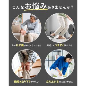 織田式ひざを鍛えるひざサポーター プランドゥ ...の詳細画像2