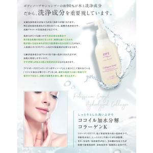 送料無料 アイナボーテ PPTコラーゲンボディ...の詳細画像3