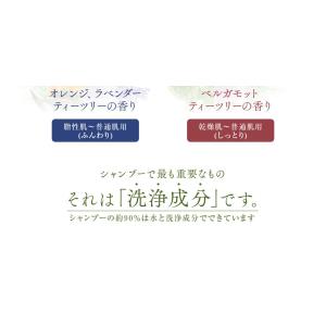 送料無料 トリートメント不要 アイナボーテPP...の詳細画像5
