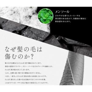 送料無料トリートメント不要 アイナボーテPPT...の詳細画像4