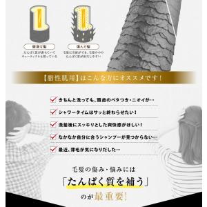 送料無料トリートメント不要 アイナボーテPPT...の詳細画像5