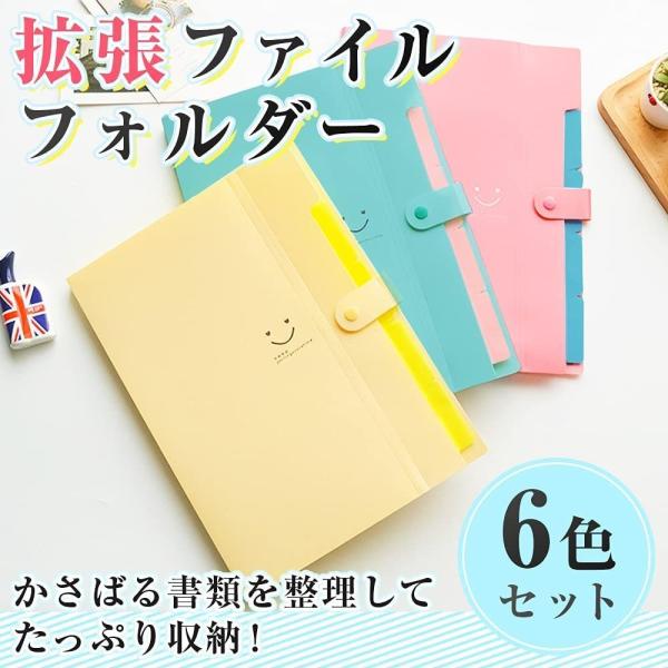 AINetJP Premium 拡張ファイル フォルダー アコーディオンタイプ A4 書類入れ ファ...