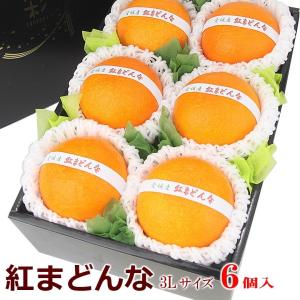 【紅まどんな (3Lサイズ 6個入)】みかん 柑橘 フルーツ くだもの 果物｜aino-kajitu