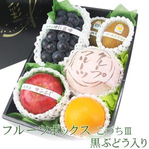 敬老の日 フルーツ ギフト お彼岸 お供え くだもの ぶどう 果物 盛り合わせ 詰め合わせ お祝い お誕生日 内祝 出産内祝【季節の フルーツ ボックス/黒ぶどう入】