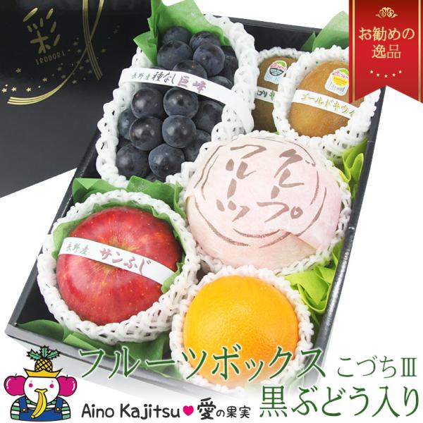 フルーツ ギフト お中元 夏 ギフト くだもの ぶどう 果物 盛り合わせ 詰め合わせ お祝い お誕生...