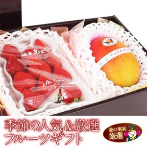 いちご フルーツ ギフト お祝い お見舞い お供え お礼 イチゴ 苺 果物 くだもの お誕生日【季節の 人気＆厳選  あまおういちご アップルマンゴー 】