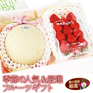 いちご フルーツ ギフト お供え お祝い イチゴ 苺 果物 お誕生日 お見舞い お礼【季節の 人気＆厳選  あまおう 静岡 クラウン マスクメロン 】