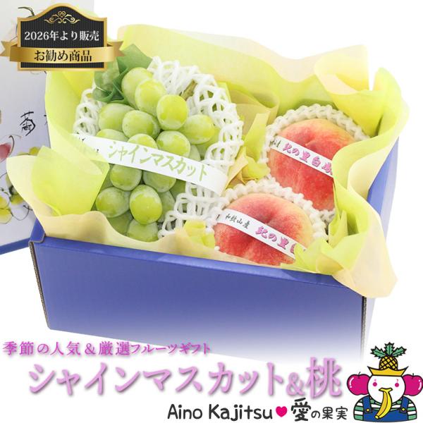 フルーツ ギフト お中元 夏ギフト お盆 ぶどう 果物 くだもの【季節の人気＆厳選 フルーツ ギフト...