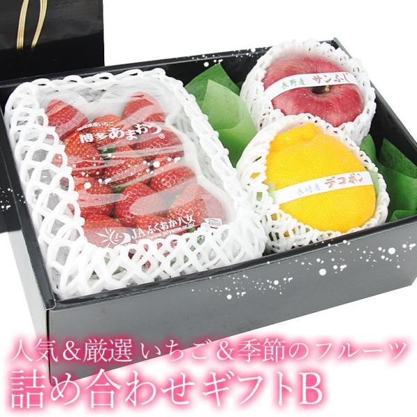 フルーツ ギフト りんご いちご イチゴ 苺 果物 くだもの 【人気＆厳選 いちご＆季節のフルーツ ...