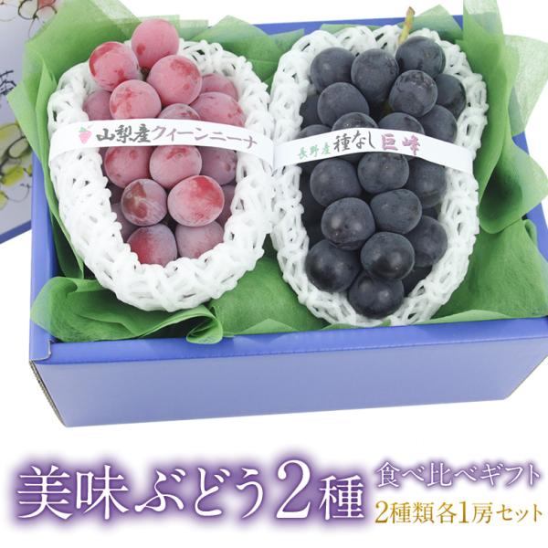 フルーツ ギフト お中元 夏 果物 ギフト 暑中見舞 お盆【国産 ぶどう 2種食べ比べ ギフト (ク...