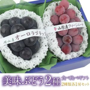 敬老の日 フルーツ ギフト お彼岸 お供え【国産 ぶどう 2種 食べ比べギフト(クイーンニーナまたは 悟紅玉・ オーロラブラックまたは ピオーネ)】