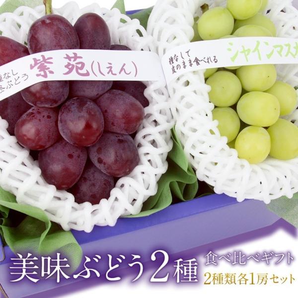 フルーツ ギフト お盆 果物 お供え お誕生日 内祝い お祝い お見舞い お礼【国産 ぶどう 2種 ...