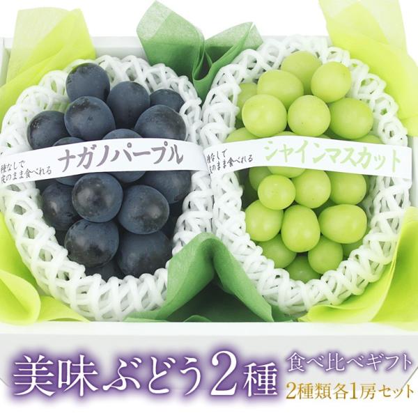 フルーツ ギフト お中元 夏 果物 ギフト 暑中見舞 お盆【国産 ぶどう 2種 食べ比べギフト(シャ...