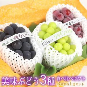 フルーツ ギフト シャインマスカット 果物 セット お供え 内祝い お祝い【国産 種なし ぶどう 3種 食べ比べギフト】