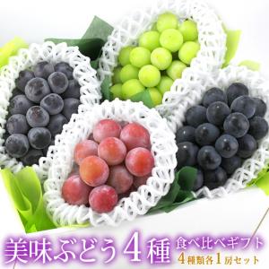 敬老の日 フルーツ ギフト お彼岸 お供え【国産 種なし ぶどう 4種 食べ比べギフト】シャインマスカット セット お祝 お見舞 お礼 内祝い
