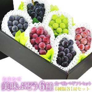 フルーツ ギフト お中元 夏 果物 ギフト 暑中見舞【国産 種なし ぶどう 6種 食べ比べギフト】シャインマスカット セット お供え 内祝 お祝 お見舞 お礼 お供え