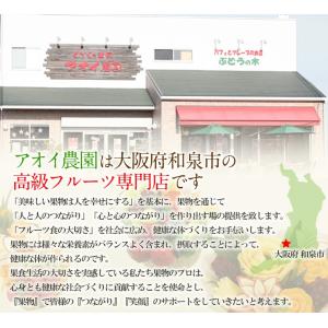 敬老の日 フルーツ ギフト お彼岸 お供え【国...の詳細画像5