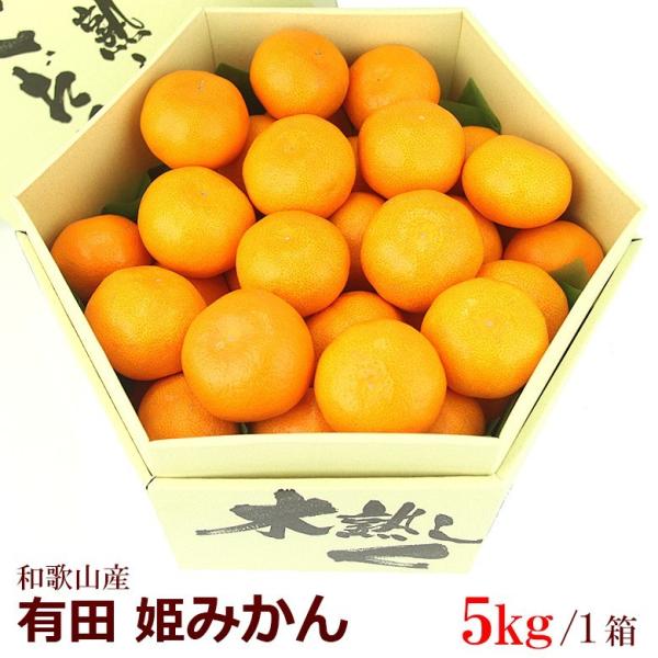 フルーツ ギフト  お彼岸 【有田 姫みかん(和歌山産)5kg】柑橘 蜜柑 フルーツ 果物 くだもの
