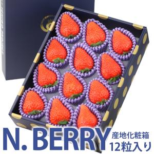【送料無料】Nベリー 12粒入り 夏のゆめ（ゆめのか）宝石箱 イチゴ 苺 果物 くだもの フルーツ｜aino-kajitu