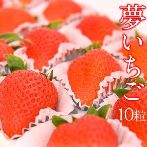 【大粒】【夢いちご(品種：ゆめのか)10粒】イチゴ 苺 果物 くだもの フルーツ 母の日 父の日 お盆｜aino-kajitu