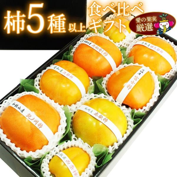 フルーツ ギフト 柿 かき  誕生日 お供え お祝い 内祝い お見舞い くだもの 果物 出産内祝い ...