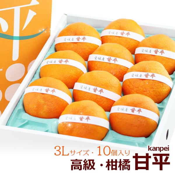 フルーツ ギフト  お彼岸 【甘平(愛媛産)3Lサイズ 10個入】みかん 柑橘 蜜柑 くだもの 果物...