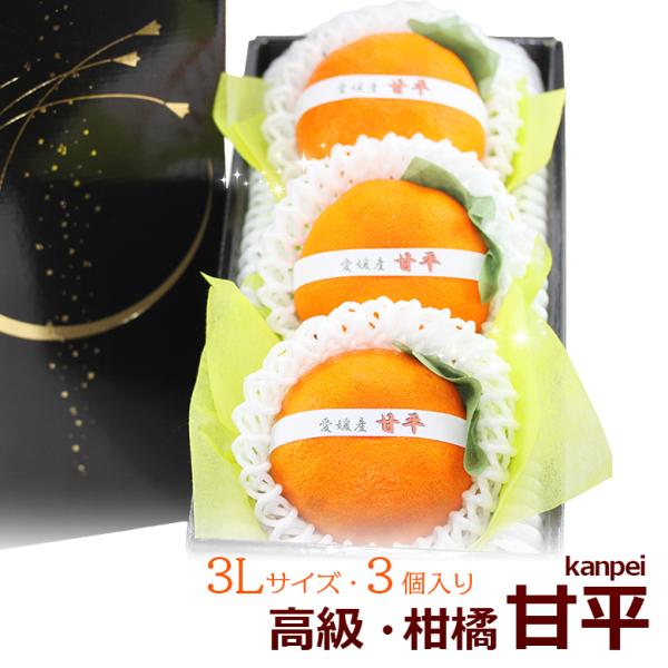 フルーツ ギフト  お彼岸 【甘平(愛媛産)3Lサイズ 3個入】みかん 柑橘 蜜柑 くだもの 果物 ...