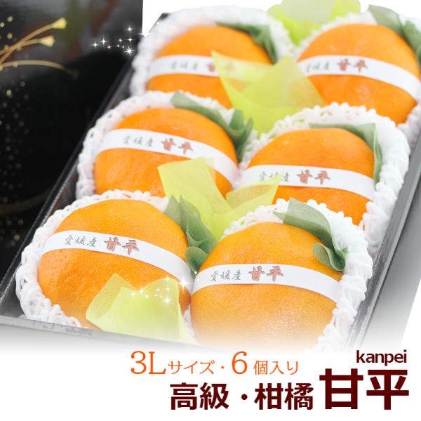 フルーツ ギフト  お彼岸 【甘平(愛媛産)3Lサイズ 6個入】みかん 柑橘 蜜柑 くだもの 果物 ...