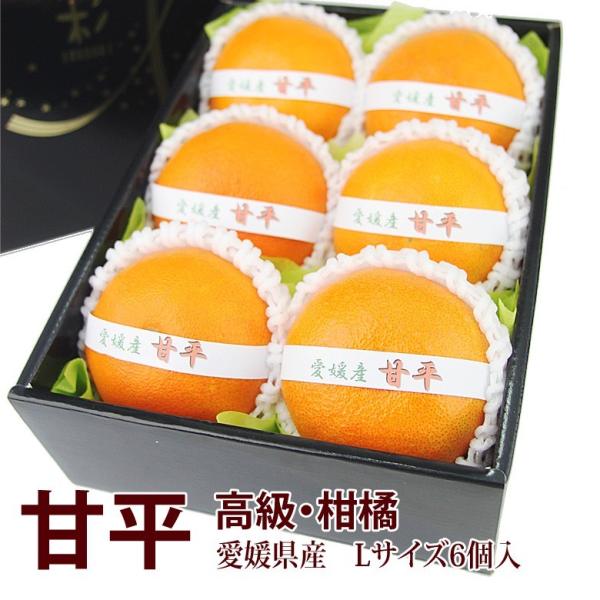 フルーツ ギフト  お彼岸 【甘平(愛媛産)Lサイズ 6個入】みかん 柑橘 蜜柑 くだもの 果物 お...