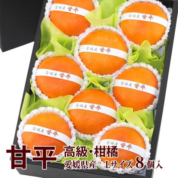 フルーツ ギフト  お彼岸  【甘平(愛媛産)Lサイズ 8個入】みかん 柑橘 蜜柑 くだもの 果物 ...