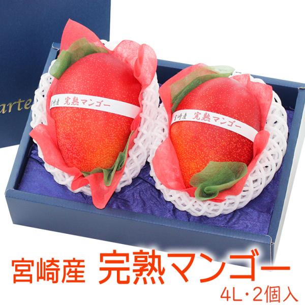 【送料無料】【宮崎マンゴー(4L 2個入り 糖度13度以上) 】マンゴー フルーツ くだもの 果物