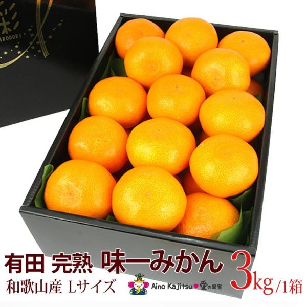 みかん 小玉 フルーツ ギフト  お彼岸 有田 完熟「味一 みかん」(和歌山産)Lサイズ 3kg ミ...