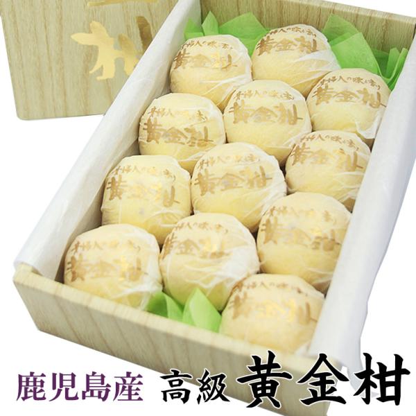 フルーツ ギフト  お彼岸 【高級 柑橘 黄金柑(鹿児島産)12〜16個入】みかん 蜜柑 くだもの ...
