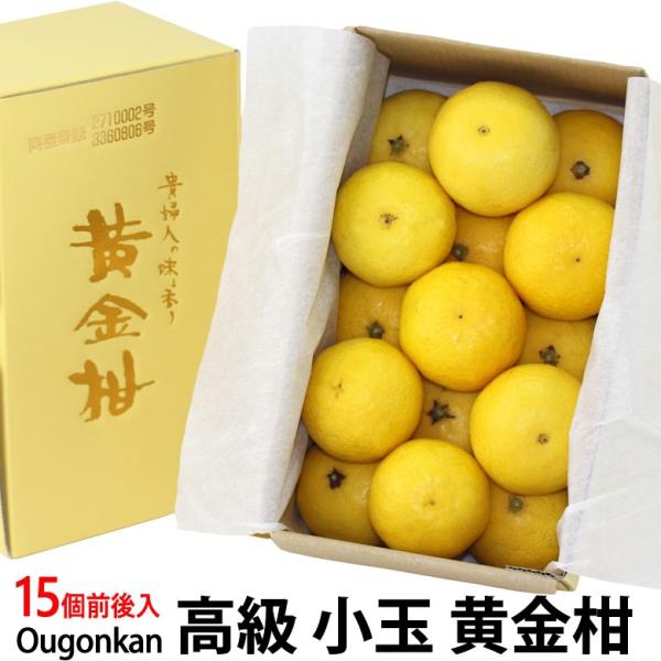フルーツ ギフト  お彼岸 【高級 柑橘 小玉 黄金柑(鹿児島県産)15個前後入】みかん 蜜柑 くだ...