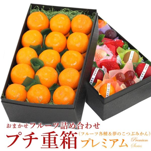 みかん 小玉 フルーツ ギフト お年賀 お祝い お供え お見舞い 内祝い お礼 手土産 柑橘 くだも...