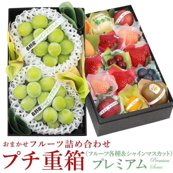 フルーツ ギフト お年賀 くだもの 果物 内祝 お祝い お礼 誕生日 お供え 法事 御供 出産内祝【...