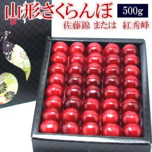 【送料無料】【山形さくらんぼ(佐藤錦 または 紅秀峰)500g 】サクランボ フルーツ くだもの 果物｜aino-kajitu