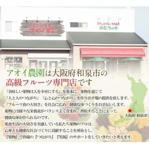 お供え 果物 セット フルーツ 詰め合わせ ジ...の詳細画像1