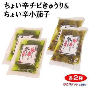 3袋セット 】 発酵本家の味噌汁 83.5g 約10食分 和心本舗 インスタント