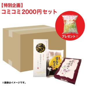 富山 お土産  あいの風「おまかせ2,000円セット」 おまかせ